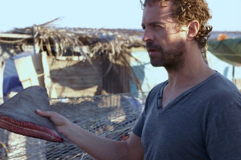Nicolás Ibargüen: cuando hablar del medio ambiente se hace “Elemental”