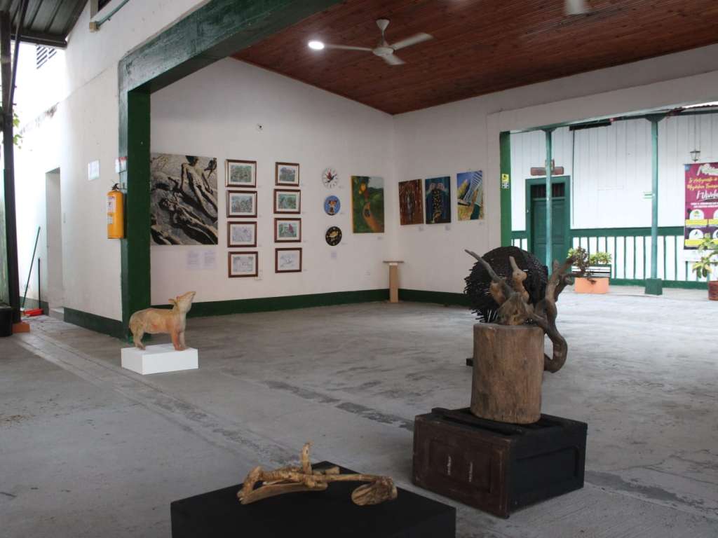 Arte para salvar al bagre rayado: el proyecto que une al legado de Gabo con la conservación