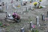 En Colombia hay 19.000 niños desaparecidos