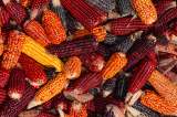 El fotógrafo gastronómico que convierte los alimentos en arte visual