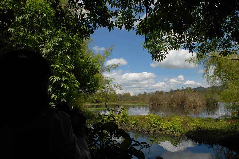 Ambientalistas aseguran que la construcción podría contaminar el agua, el aire y el suelo del humedal. / Archivo