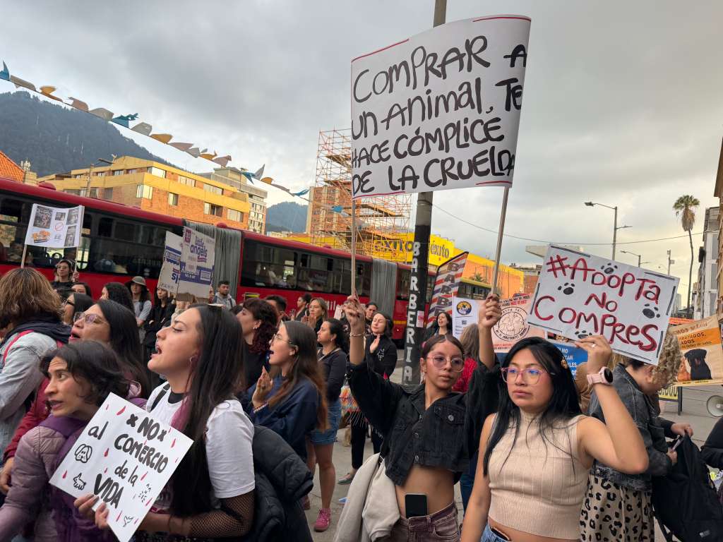 La denuncia en redes sociales por el estado de varios animales destinados a la venta en tiendas ubicadas en la Av. Caracas generó la indignación de un amplio sector de la ciudadanía que exige el fin de ese tipo de establecimientos.