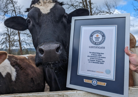 ¿Su mascota tiene una habilidad o característica especial? Así podría batir un Récord Guinness