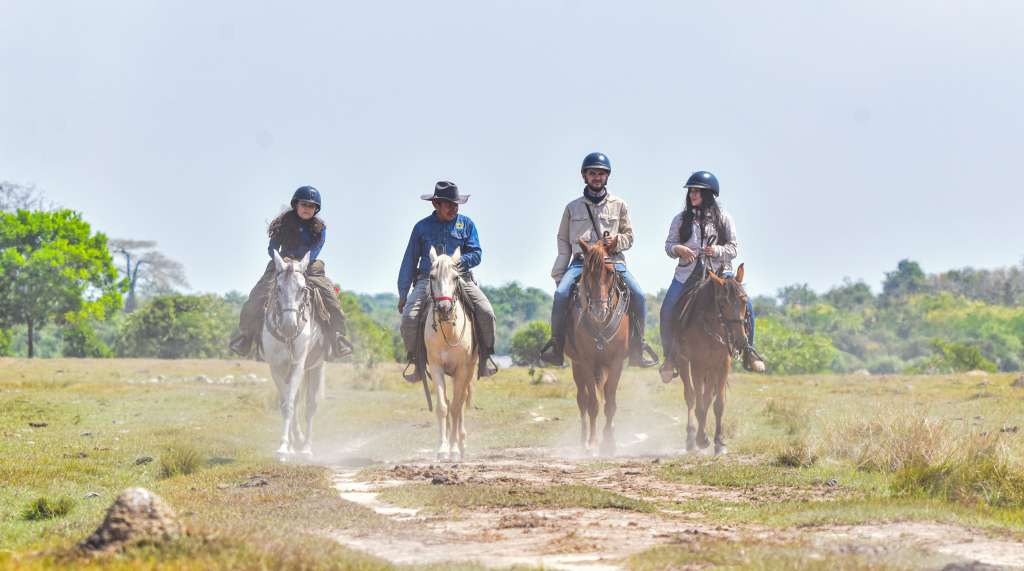 Su propuesta principal es el Safari Llanero, una experiencia única que permite explorar las sabanas inundables mediante caminatas, cabalgatas, paseos en canoa y vehículos adaptados.