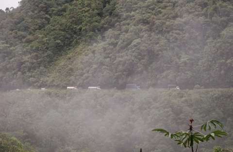 Derrumbe en Rosas: autorizan paso por Ecuador de vehículos de carga con GLP