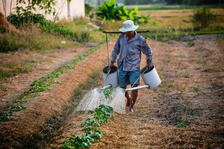 La plataforma que conecta a los agricultores con restaurantes