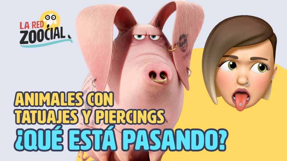 Tatuajes mascotas