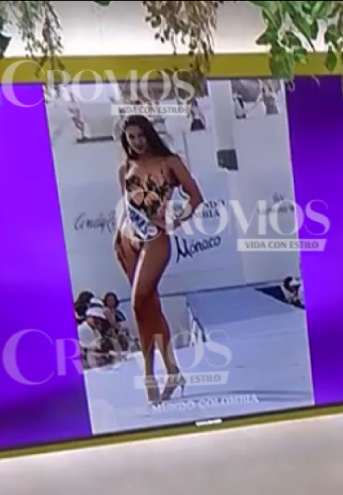 Martha Isabel Bolaños
