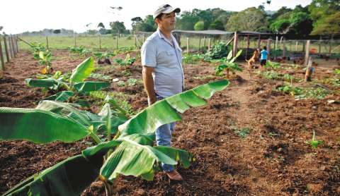 Formalización de tierras, un camino contra la siembra de coca