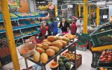 Avanza a segundo debate proyecto que garantiza el derecho a la alimentación