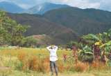 Miranda (Cauca), la reincorporación de las Farc en medio de las balas