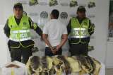 Incautan 17 pieles de babilla en vía Barranquilla – Cartagena