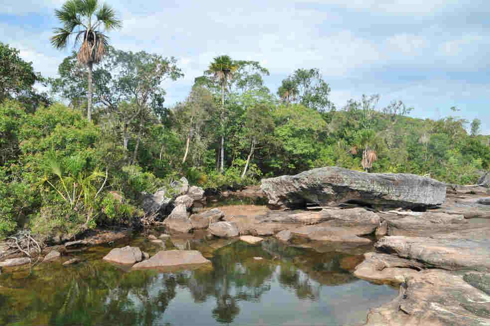 Caño Cristales. /David Campuzano