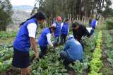 Nuevas guías ambientales para el bienestar del campo colombiano