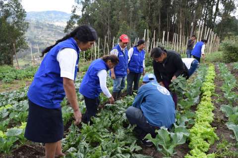 Nuevas guías ambientales para el bienestar del campo colombiano