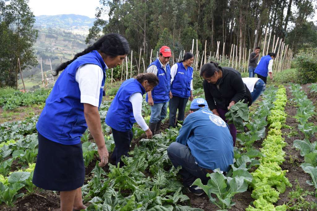 Los sectores del café, cacao, banano, aguacate, pasifloras y papa generan más de dos millones de empleos.