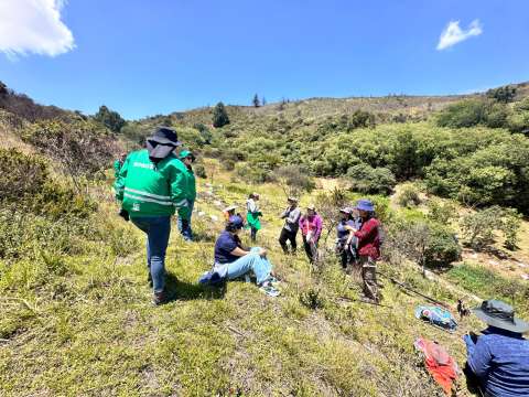 Vuelven los incendios: así avanzan las labores de restauración de zonas afectadas