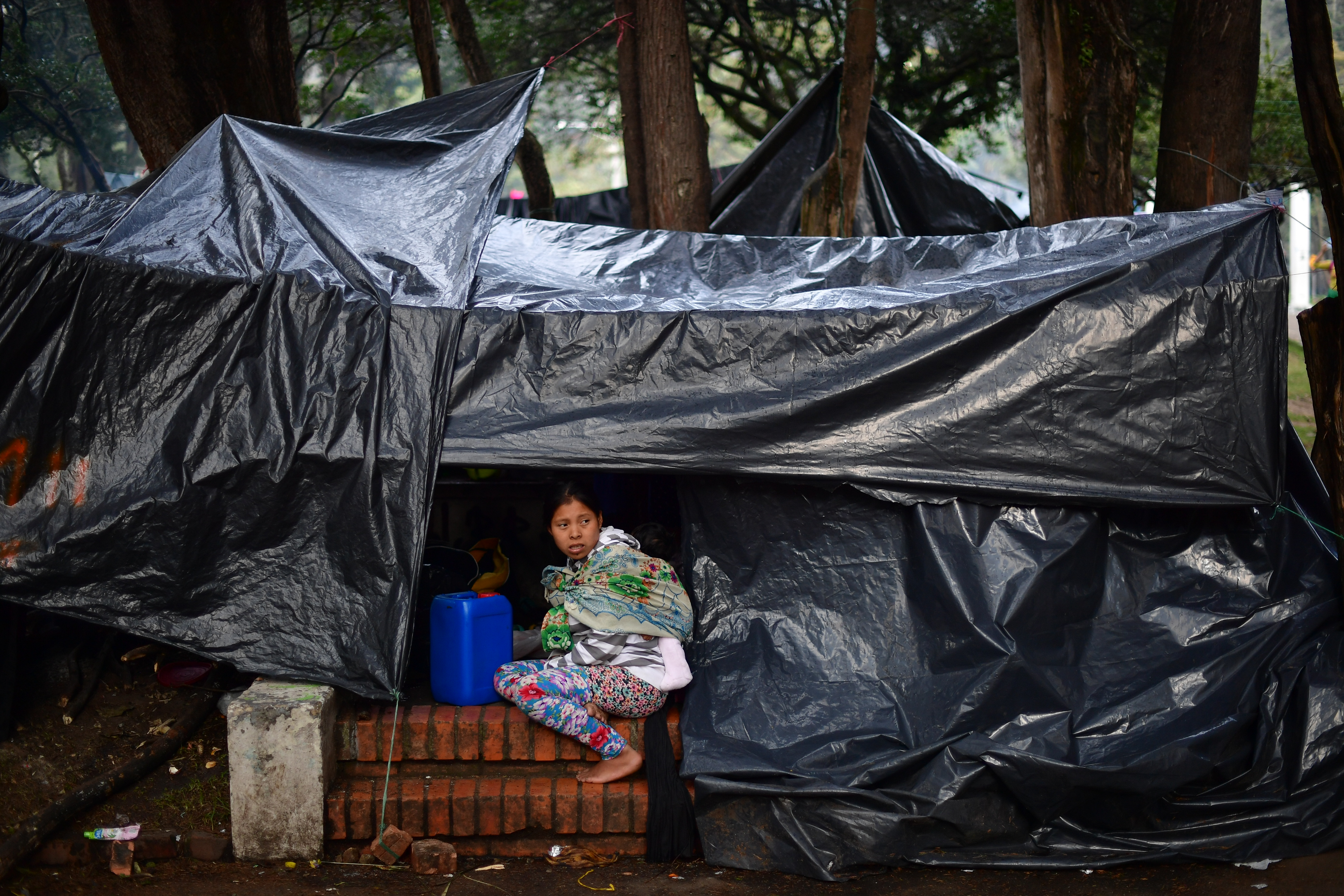 Indígenas han armado cambuches con plásticos en el Parque Nacional, al que llegaron el 29 de septiembre en su mayoría son niños, mujeres embarazadas y lactantes.