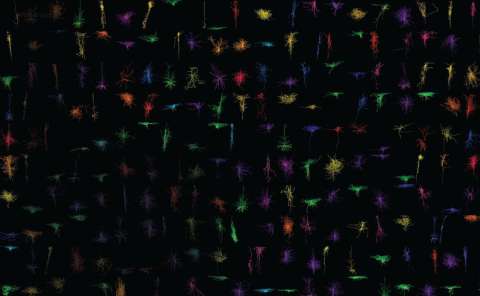 Crean el mapa más completo de células cerebrales