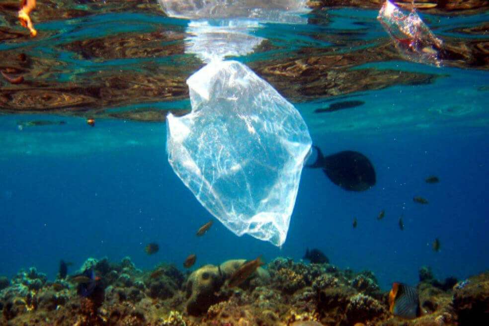 De los treinta principales contaminadores mundiales per capita de este tipo de plásticos, diez son de la región del Caribe. / EFE