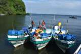 Incautaron 15 tiburones pescados ilegalmente en el Pacífico nariñense