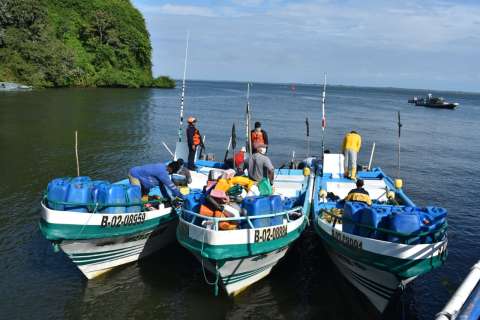Incautaron 15 tiburones pescados ilegalmente en el Pacífico nariñense