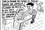 Camello sí hay