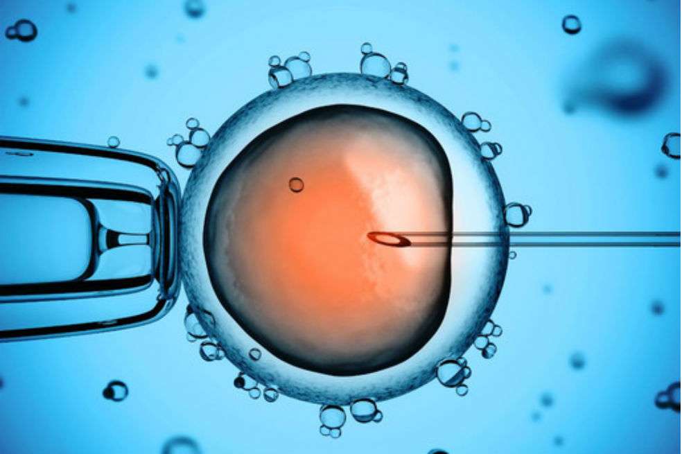 En el experimento, la inyección del espermatozoide, junto con los reactivos CRISPR, parece fomentar la corrección del gen mutado a través de la ruta favorable. / Fotolia