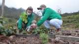 Bogotá plantó 1.200 árboles para recuperar los Cerros Orientales