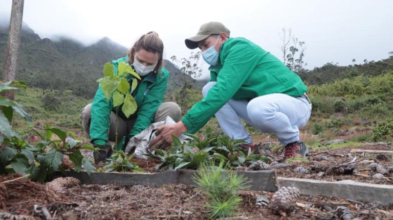Bogotá plantó 1.200 árboles para recuperar los Cerros Orientales