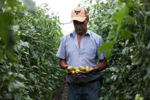 El agro como motor de la economía: ¿qué hay detrás de las cifras?