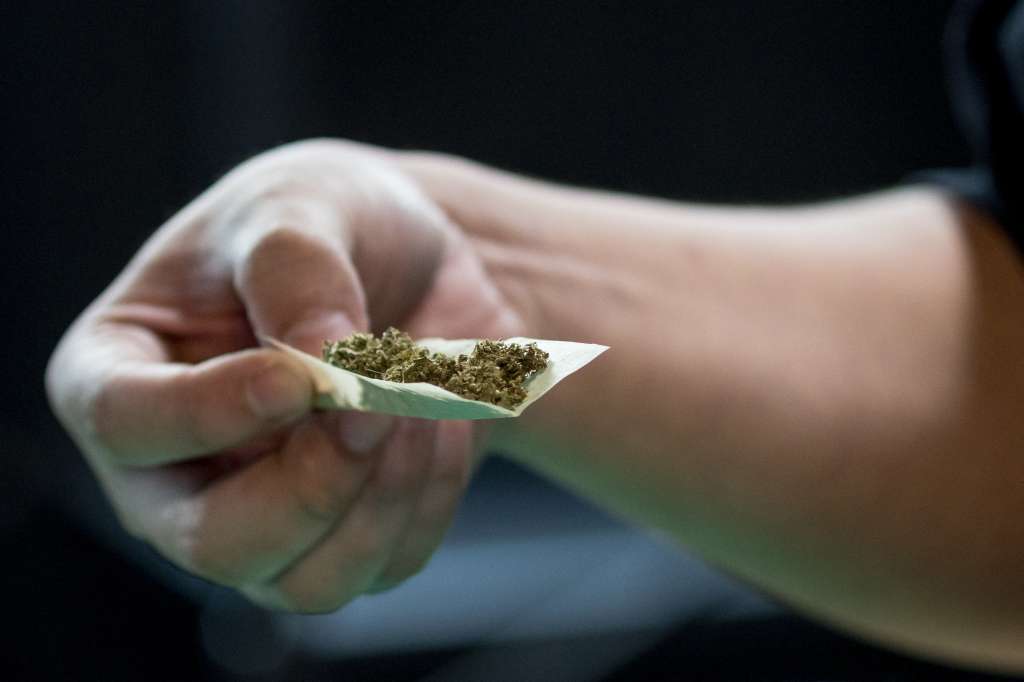 Resultado en una de las áreas de competencia de cannabis en Tailandia.