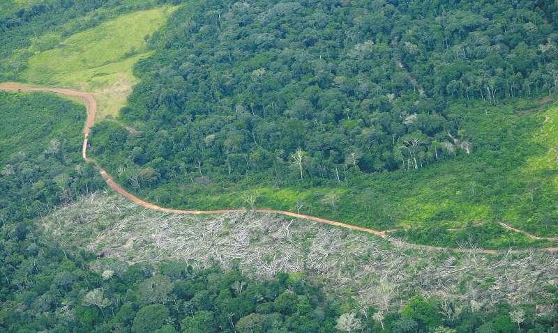 La construcción de carreteras suele impulsa la destrucción de ecosistemas en regiones tropicales como la Amazonia colombiana. / Cortesía Fundación para la Conservación y el Desarrollo Sostenible.