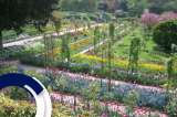 En mayo llega una nueva historia de Claude Monet
