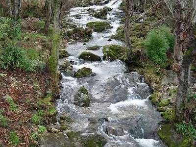 Guía para hacer la ruta G20: desafío entre montañas y paisajes salvajes de Córcega