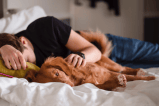 ¿Por qué es bueno dormir con perros?