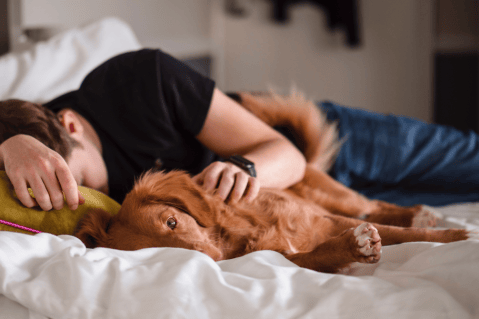 ¿Por qué es bueno dormir con perros?