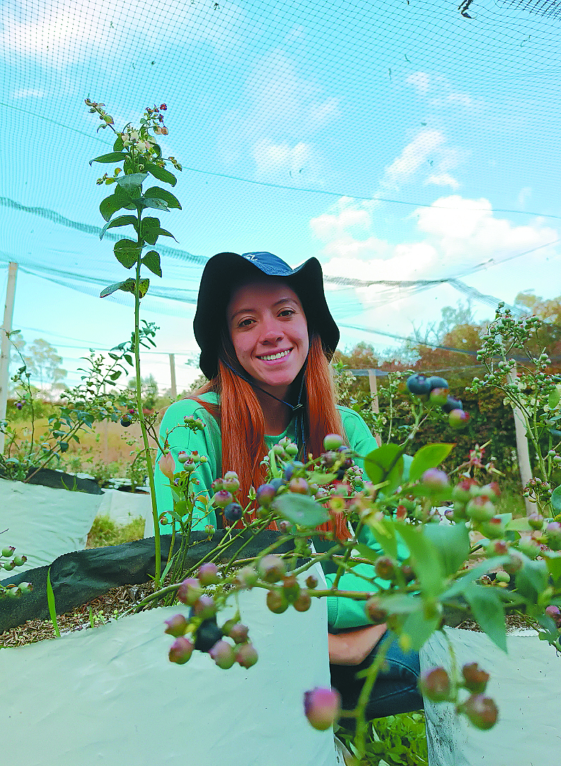 El futuro es ahora: agricultura orgánica y sostenible hecha en Colombia
