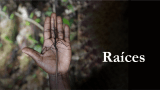 Raíces: una forma de apoyo para organizaciones afro e indígenas en temas de paz