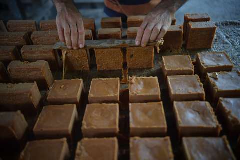 Panela Fest 2026 en Pereira: fechas, lugar y cómo participar en el encuentro panelero