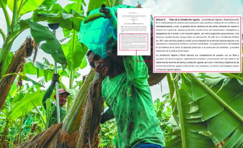 Jurisdicción Agraria da vida a 32 juzgados para tramitar gratis conflictos de tierras
