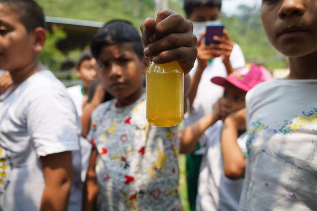 Niñas y niños de la vereda Los Ángeles están aprendiendo el proceso de la meliponicultura.