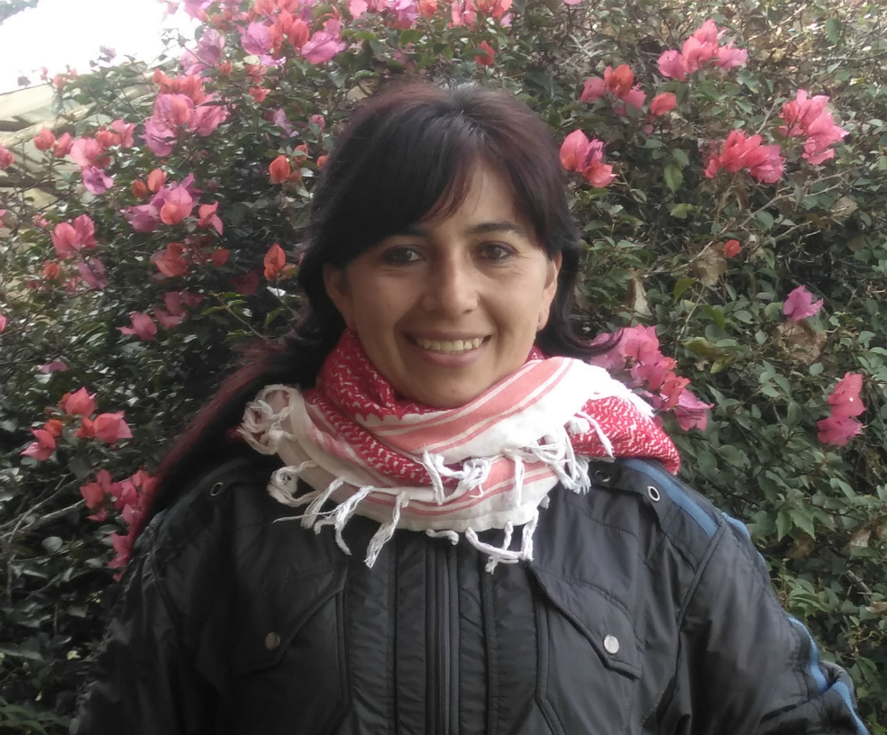 Cortesía