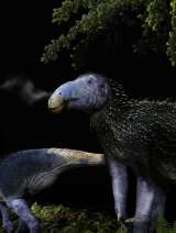 Descubren una nueva especie de iguanodonte gracias a un fósil sin precedentes