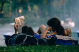 Estas son las ciudades con mejor y peor calidad de vida en el mundo