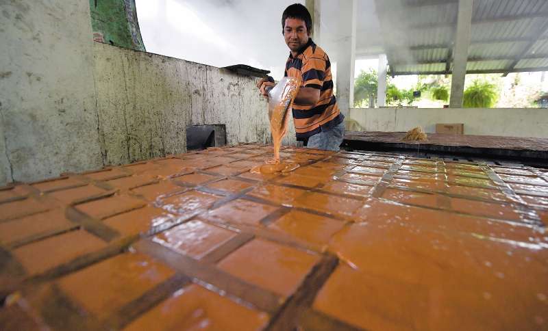 Productores de panela