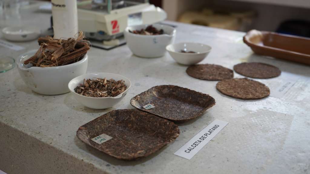 Empaques biodegradables producidos por el instituto Sinchi en el departamento del Amazonas.