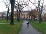 Universidad de Harvard compró una Carta Magna auténtica por menos de 30 dólares