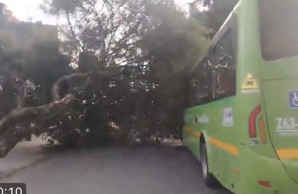 A esta hora se presenta una novedad vial en la carrera 82 con calle 25C, en la localidad de Fontibón, por la caída de un árbol sobre un bus zonal.