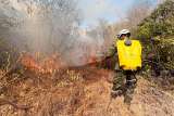 La UNGRD reporta 21 incendios activos en todo el país este lunes 7 de septiembre